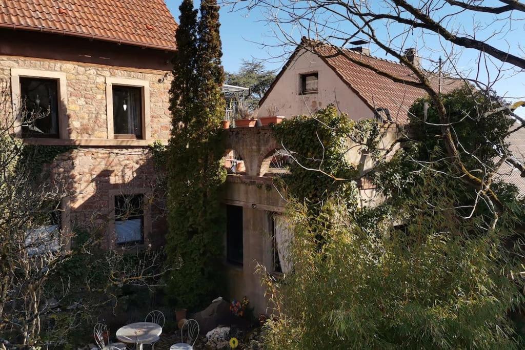 "Casita Linda "Am Donnersberg Villa Dannenfels Exterior foto