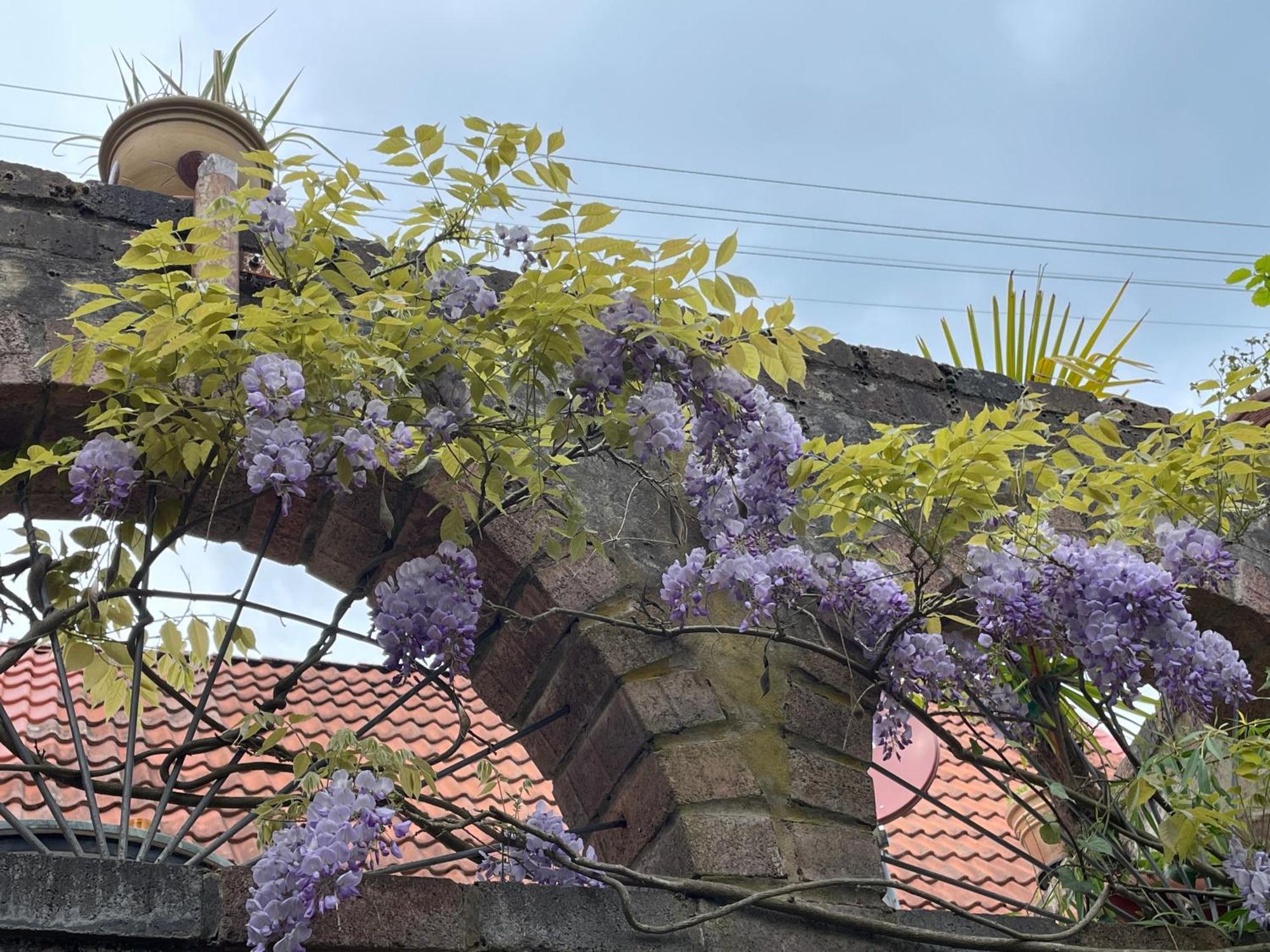 "Casita Linda "Am Donnersberg Villa Dannenfels Exterior foto