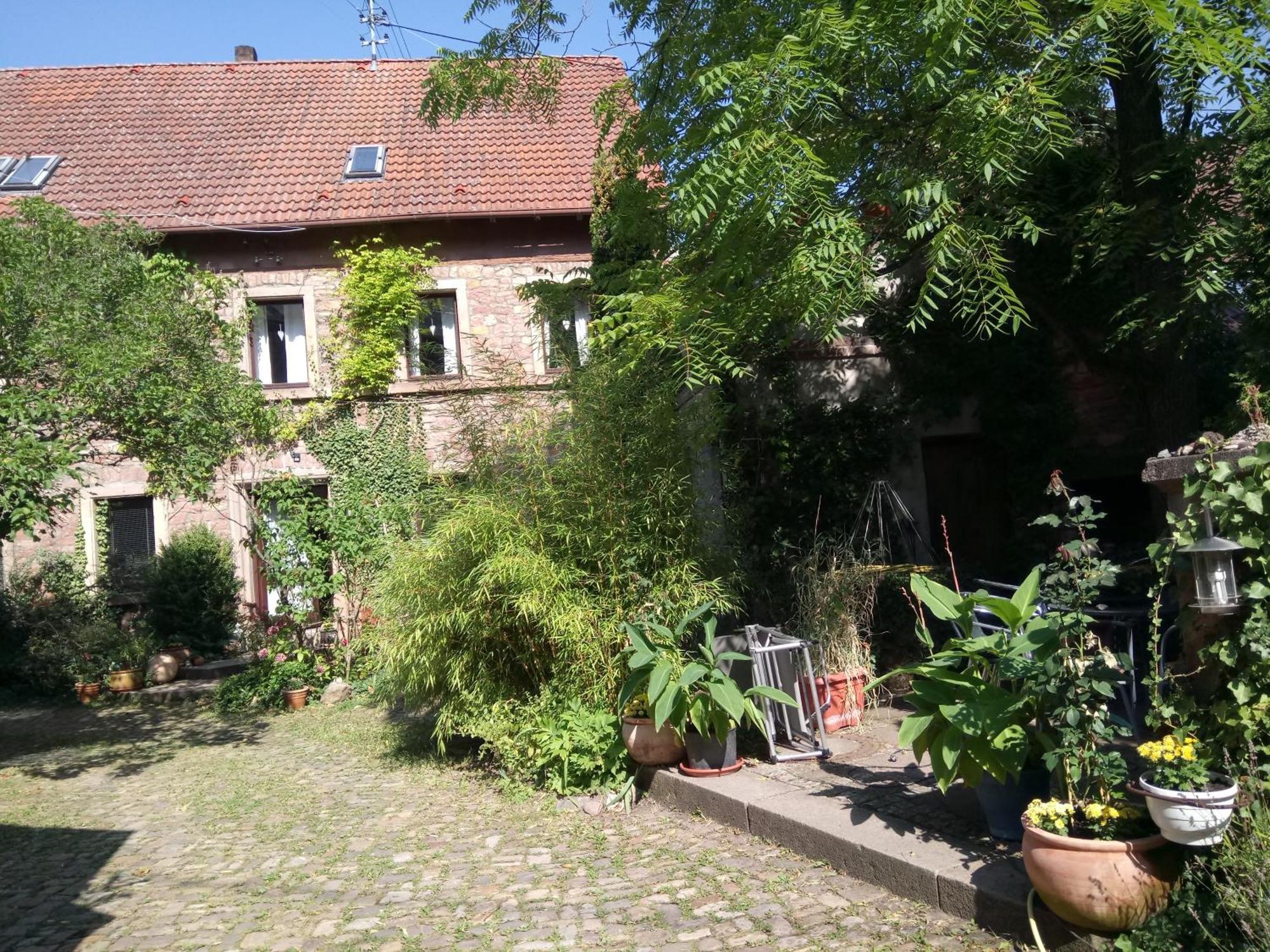 "Casita Linda "Am Donnersberg Villa Dannenfels Exterior foto