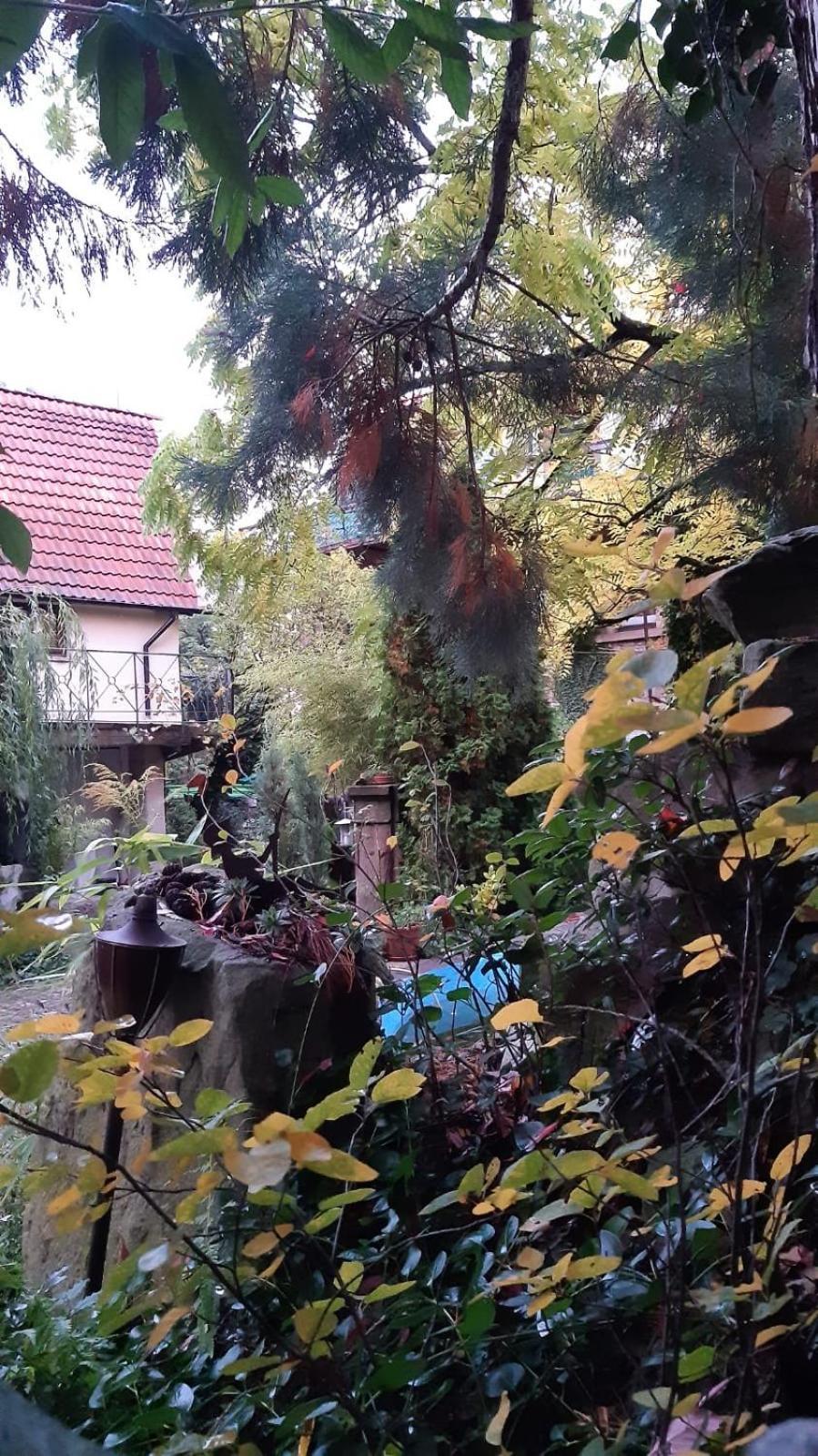 "Casita Linda "Am Donnersberg Villa Dannenfels Exterior foto